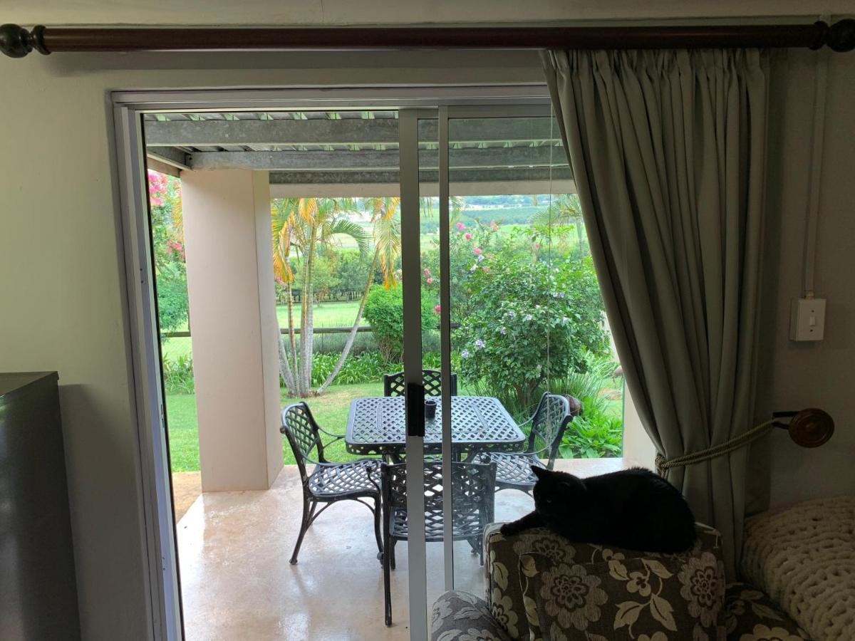 Jelani Guest House White River Exterior foto